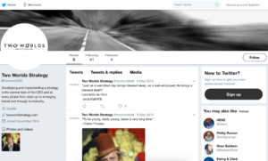 Twitter profile design for Two Worlds Web Design. Screenshot.