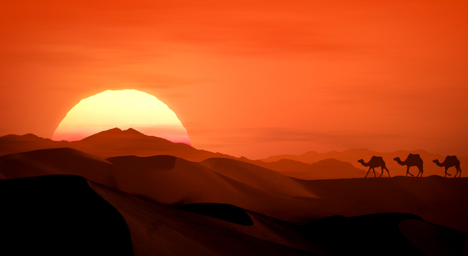 Orange sunset desert hills with 3 camels walking along horizon.